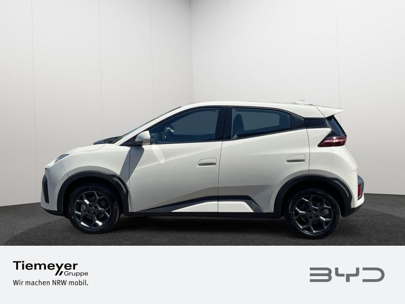 BYD DOLPHIN SURF – Bild 9