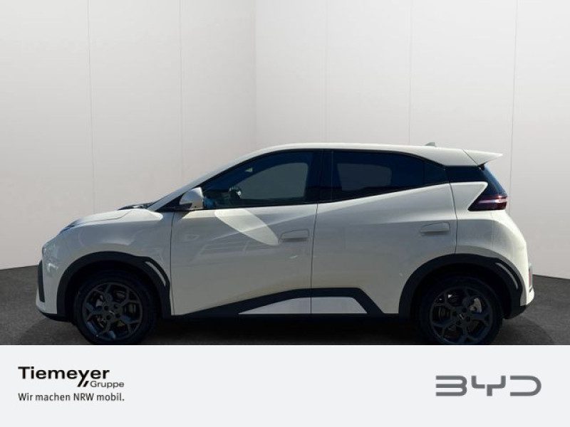 BYD DOLPHIN SURF – Bild 8