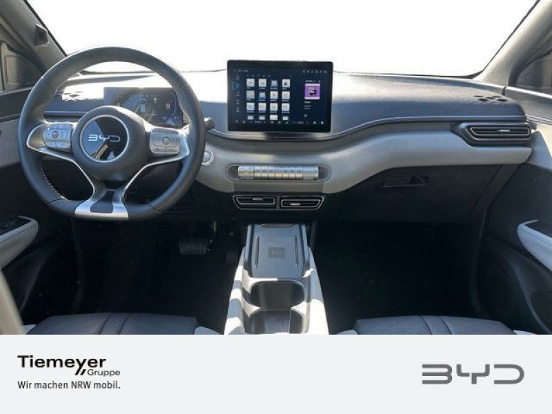BYD DOLPHIN SURF – Bild 13
