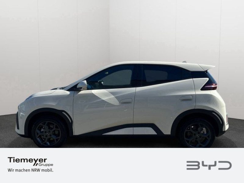 BYD DOLPHIN SURF – Bild 8