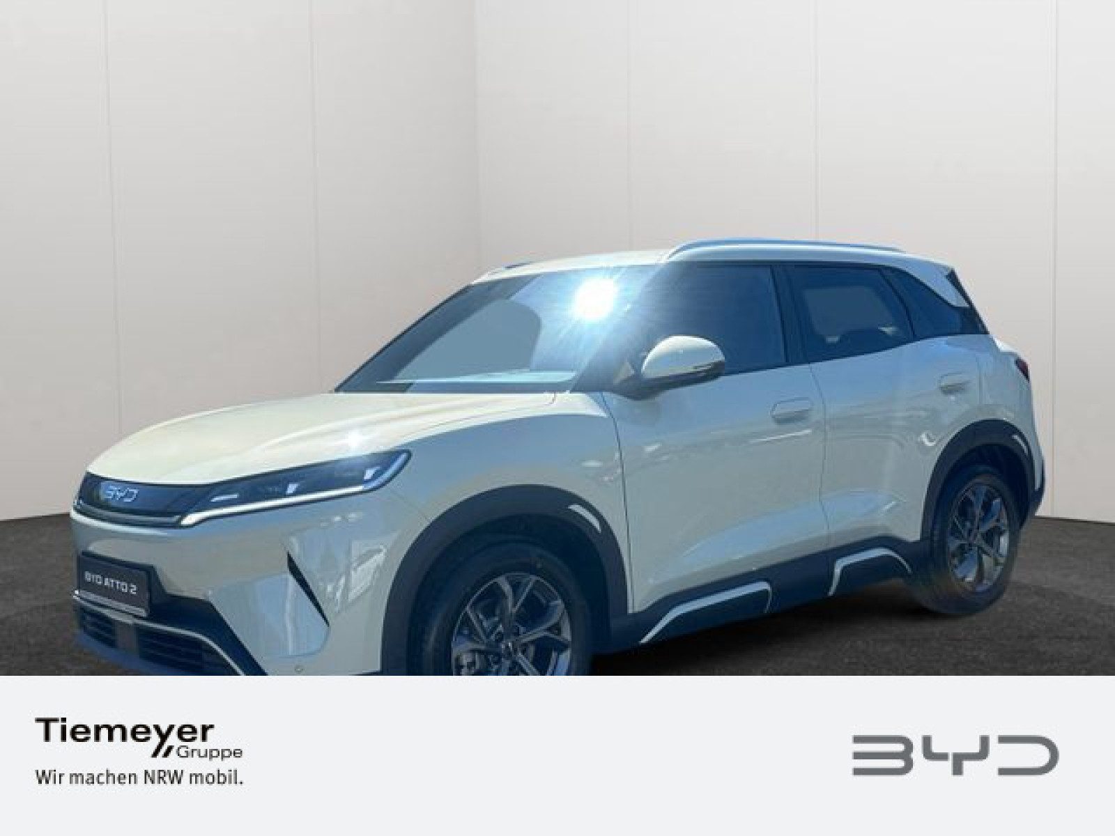 BYD ATTO 2 – Bild 1