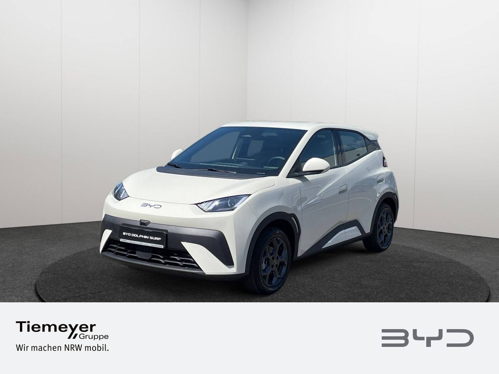 BYD DOLPHIN SURF – Bild 1