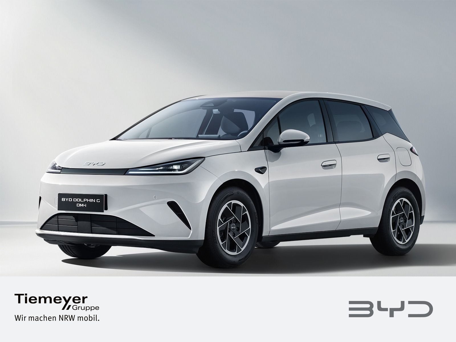 BYD DOLPHIN – Bild 1