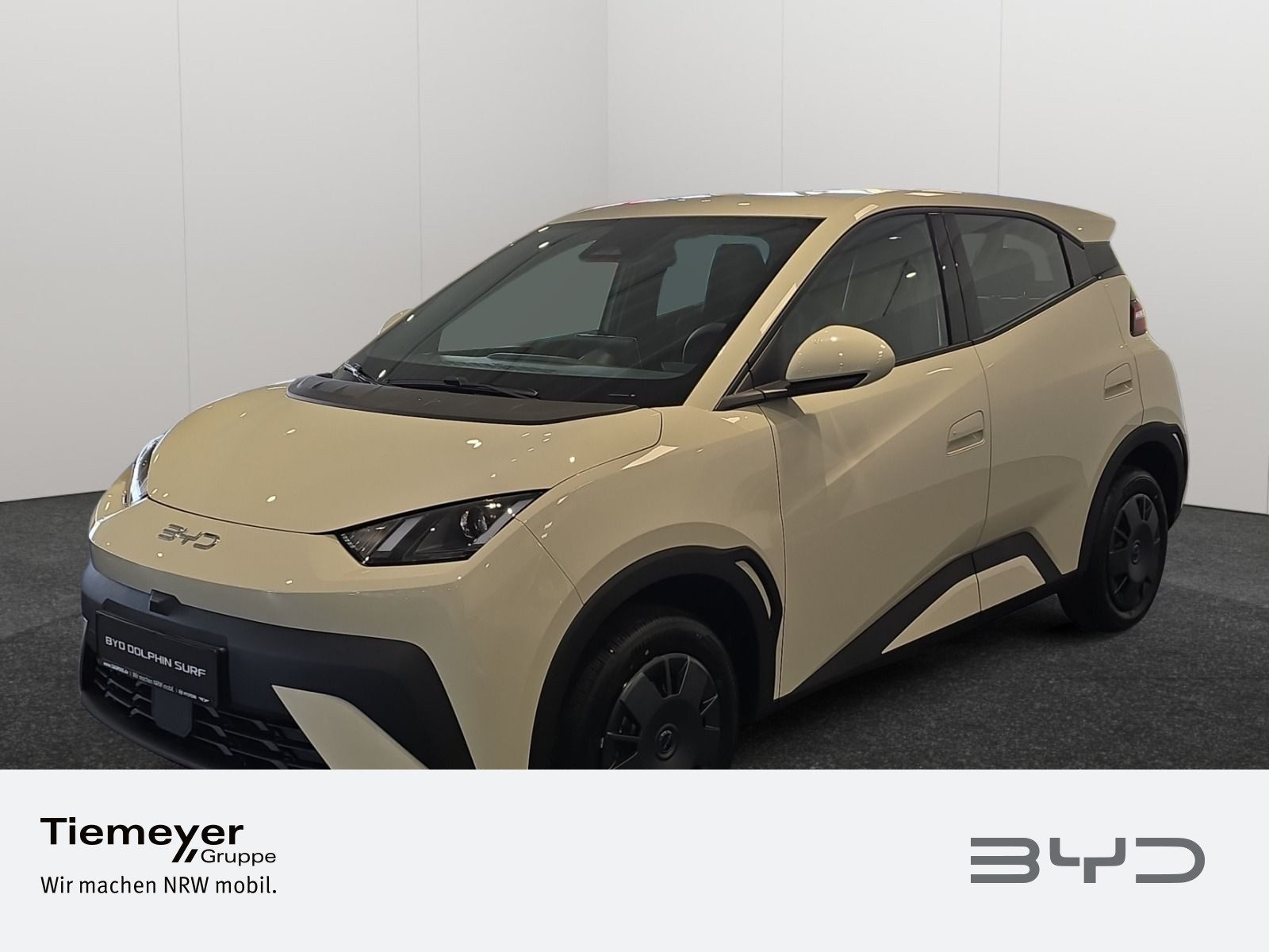 BYD DOLPHIN SURF – Bild 1