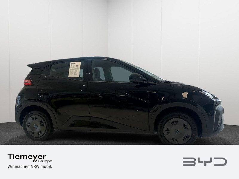 BYD DOLPHIN SURF – Bild 5