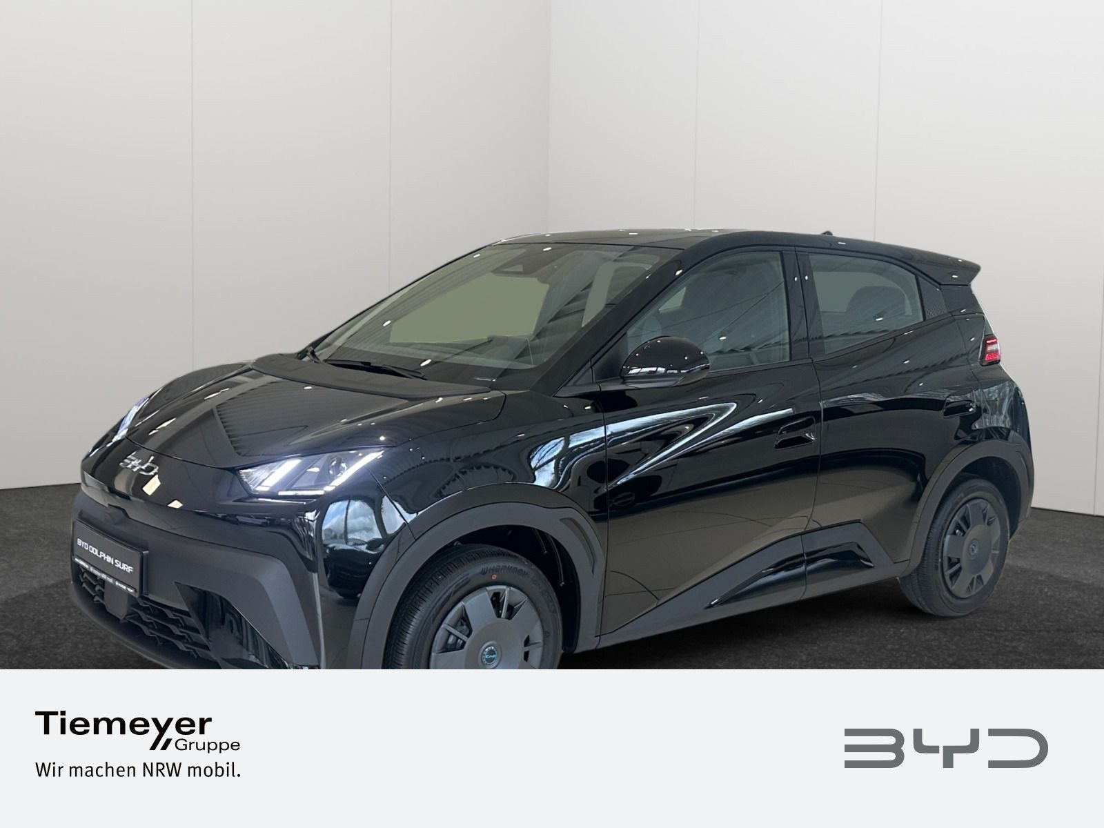 BYD DOLPHIN SURF – Bild 1