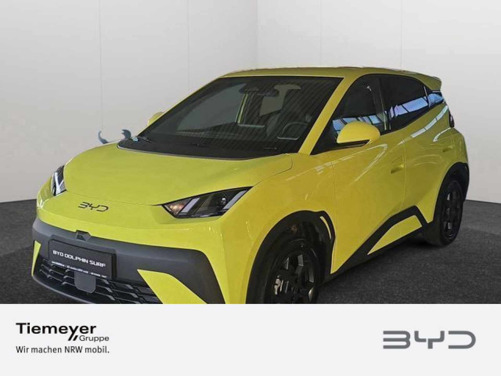 BYD DOLPHIN SURF – Bild 1