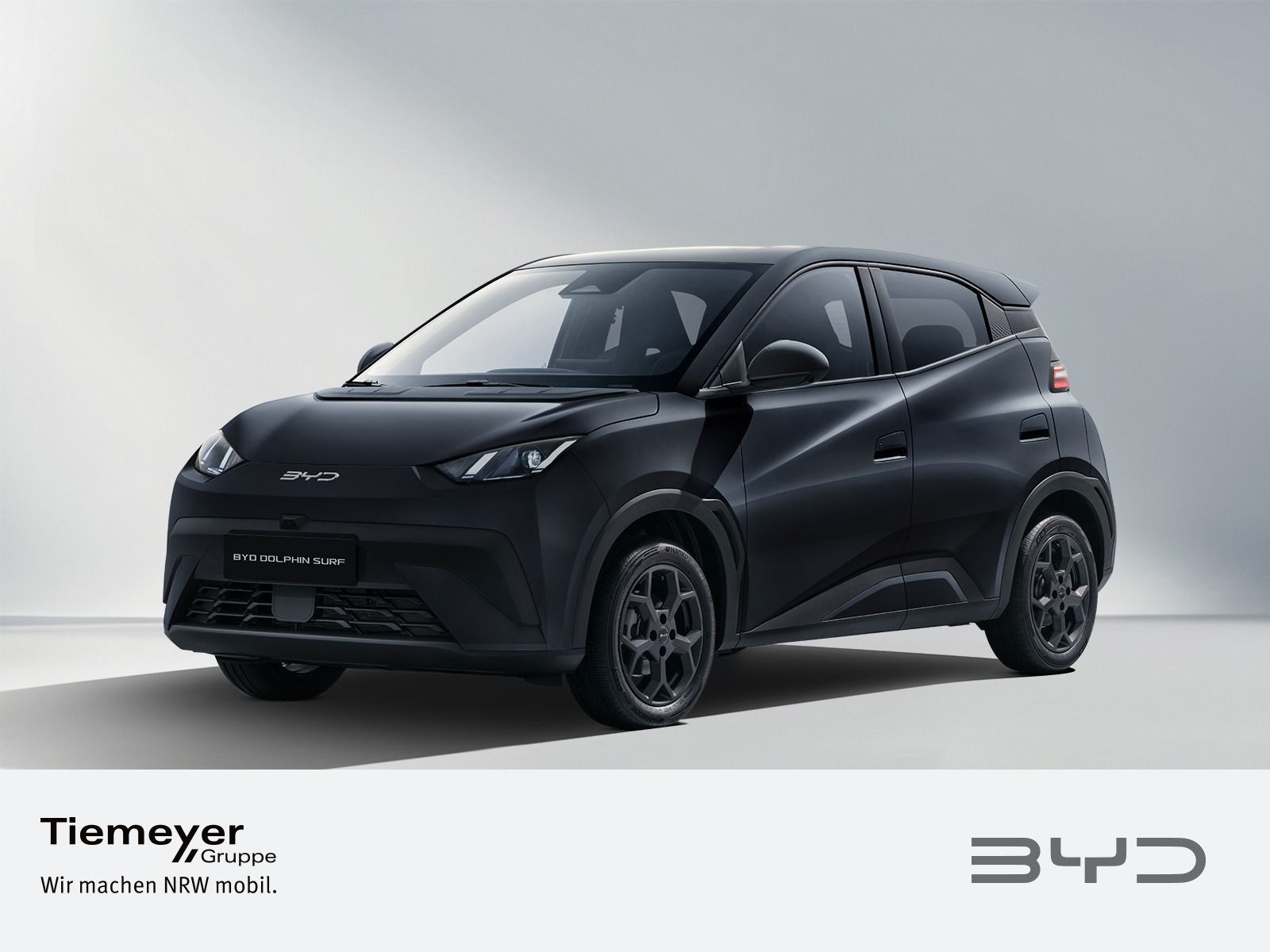 BYD DOLPHIN SURF – Bild 1