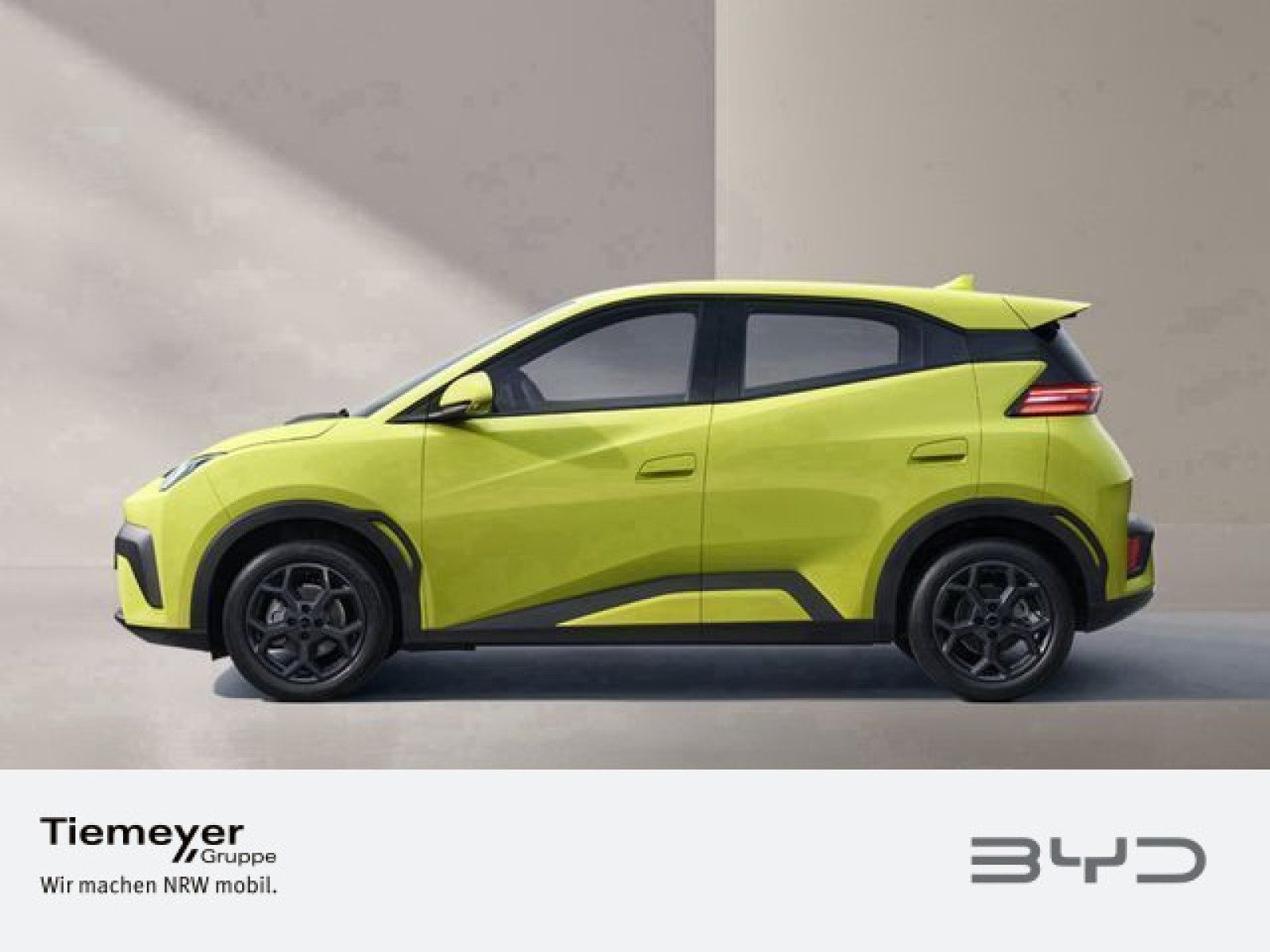 BYD DOLPHIN SURF – Bild 1