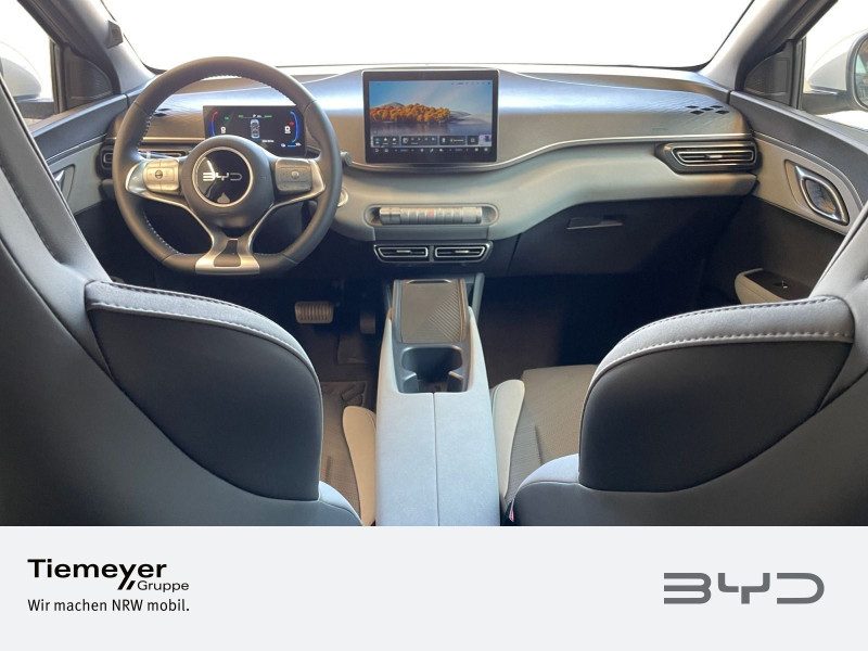 BYD DOLPHIN SURF – Bild 13