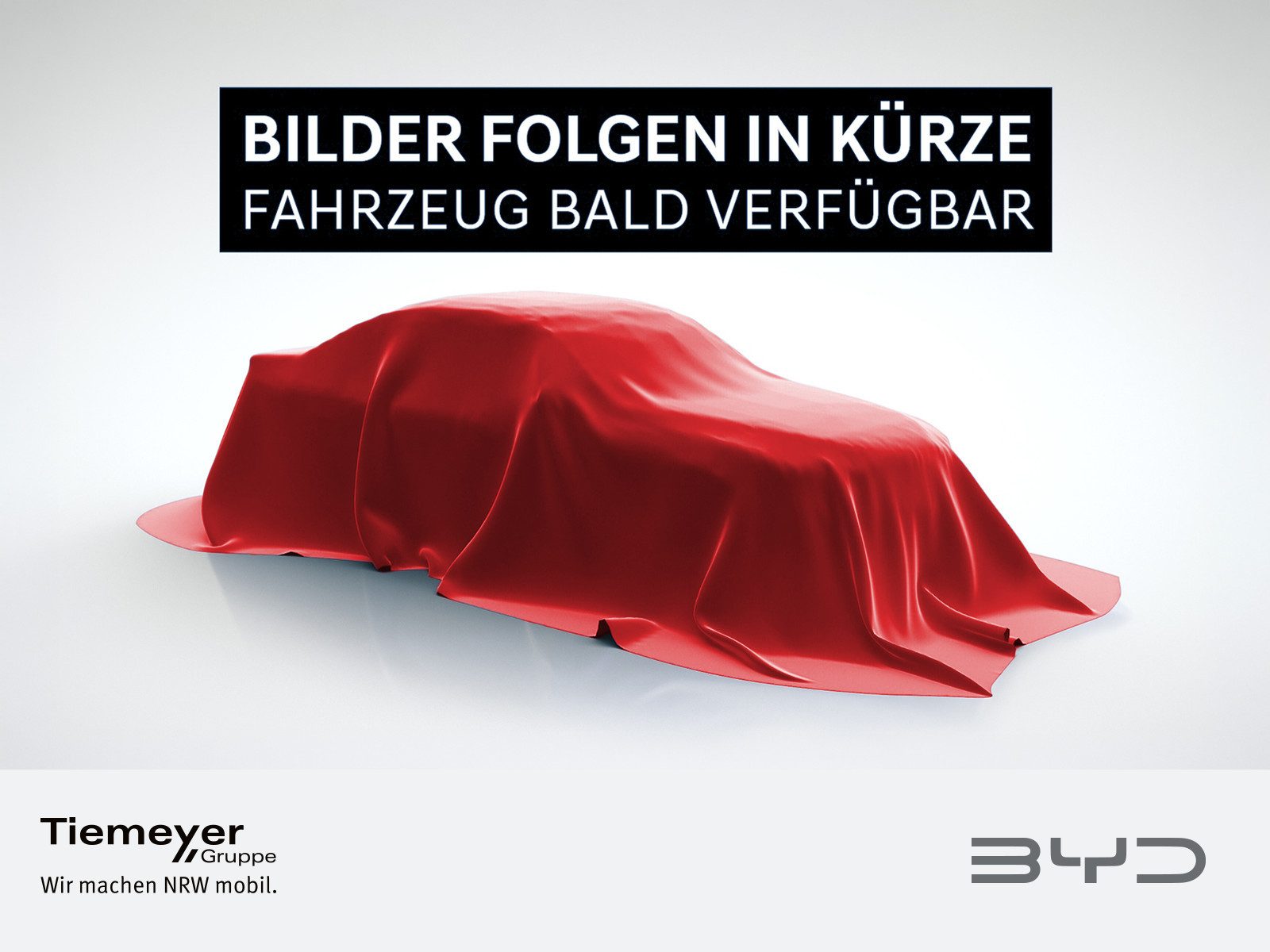 BYD DOLPHIN SURF – Bild 1