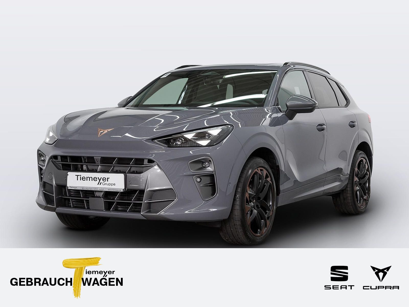 Cupra Terramar – Foto 1