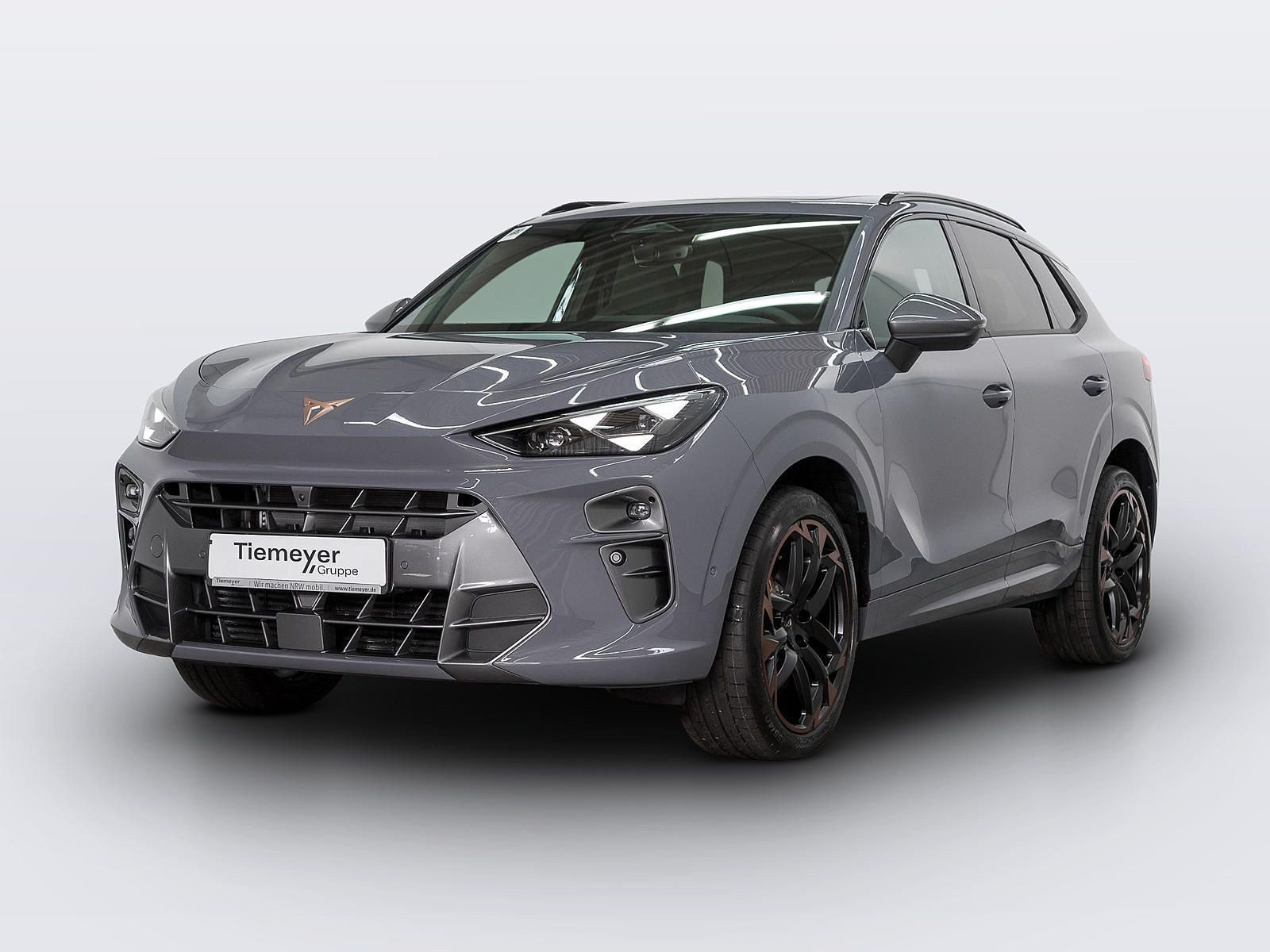 Cupra Terramar – Foto 2