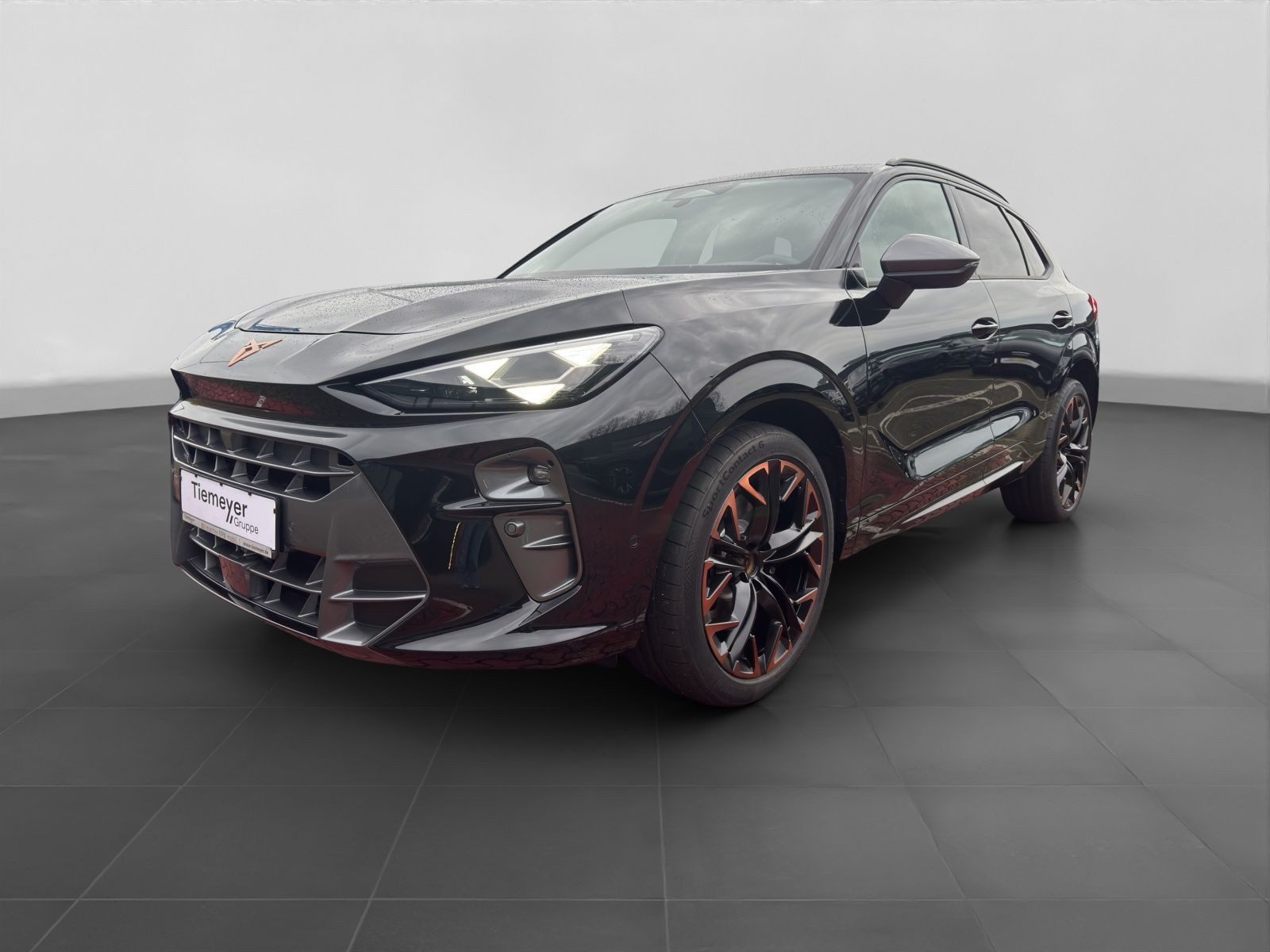 Cupra Terramar – Bild 2