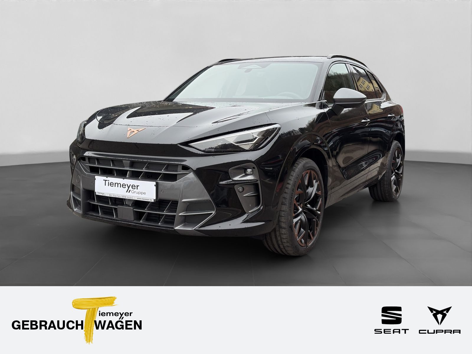 Cupra Terramar – Foto 1