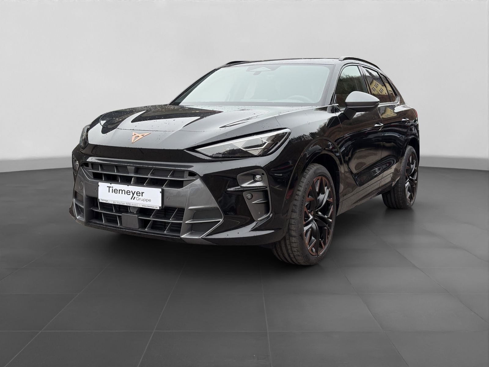 Cupra Terramar – Foto 2