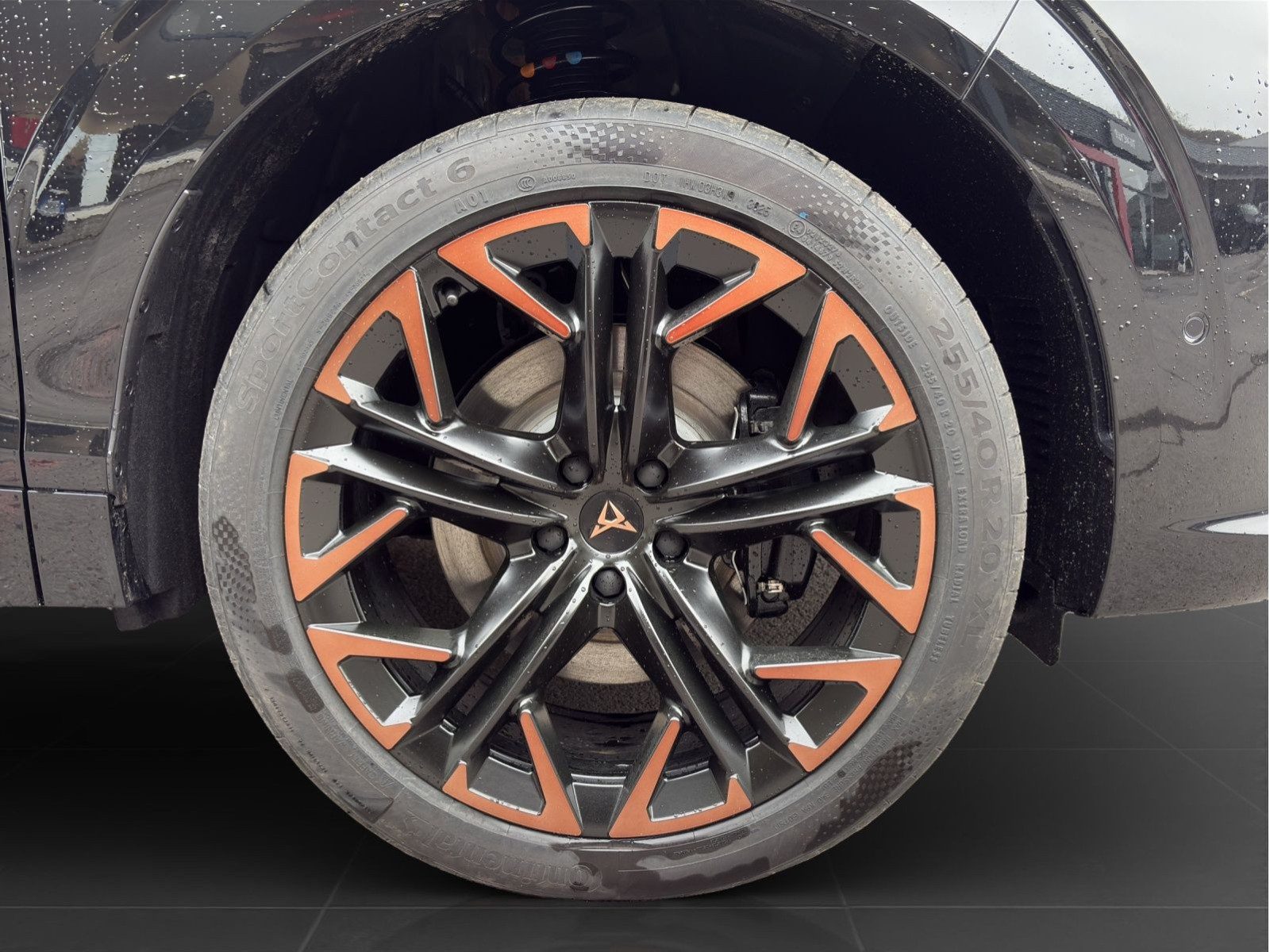 Cupra Terramar – Foto 7