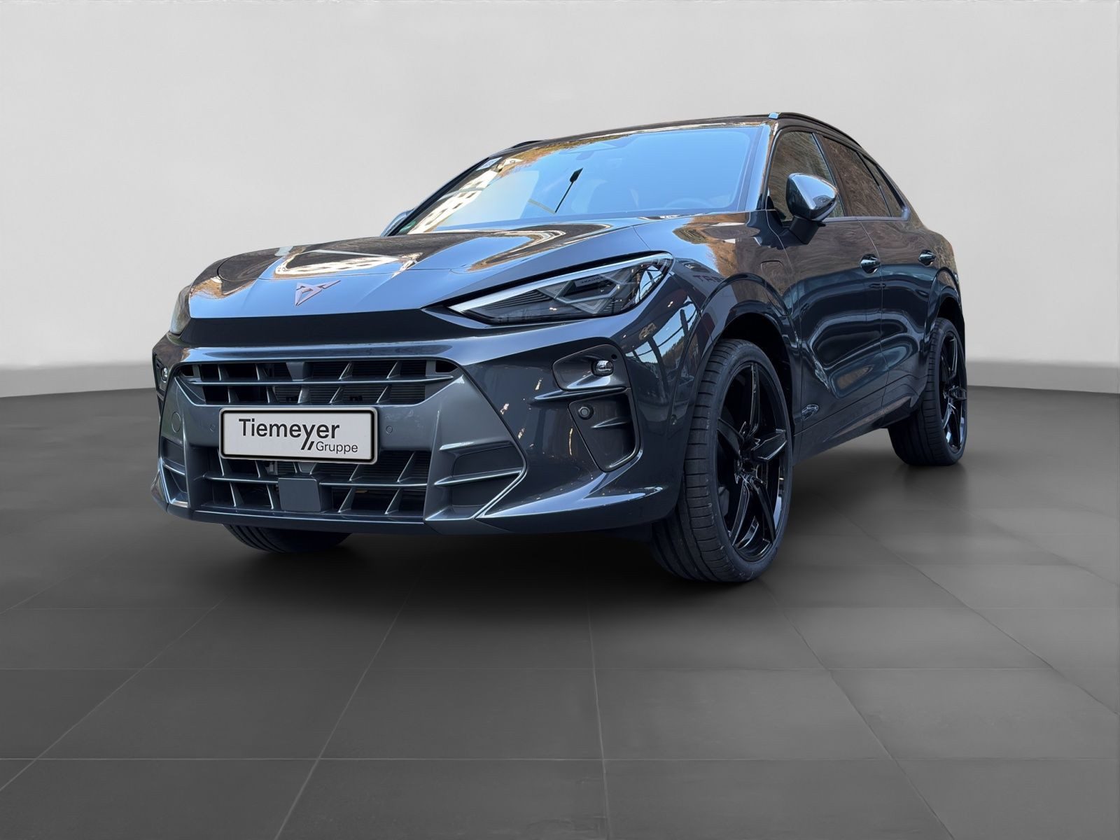 Cupra Terramar – Bild 2