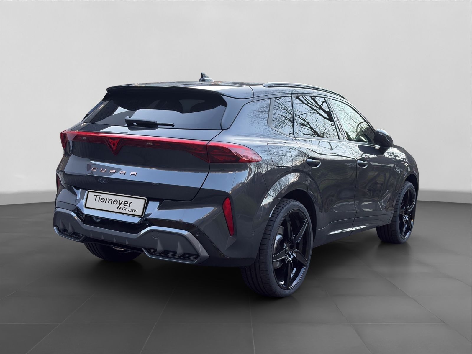 Cupra Terramar – Bild 3