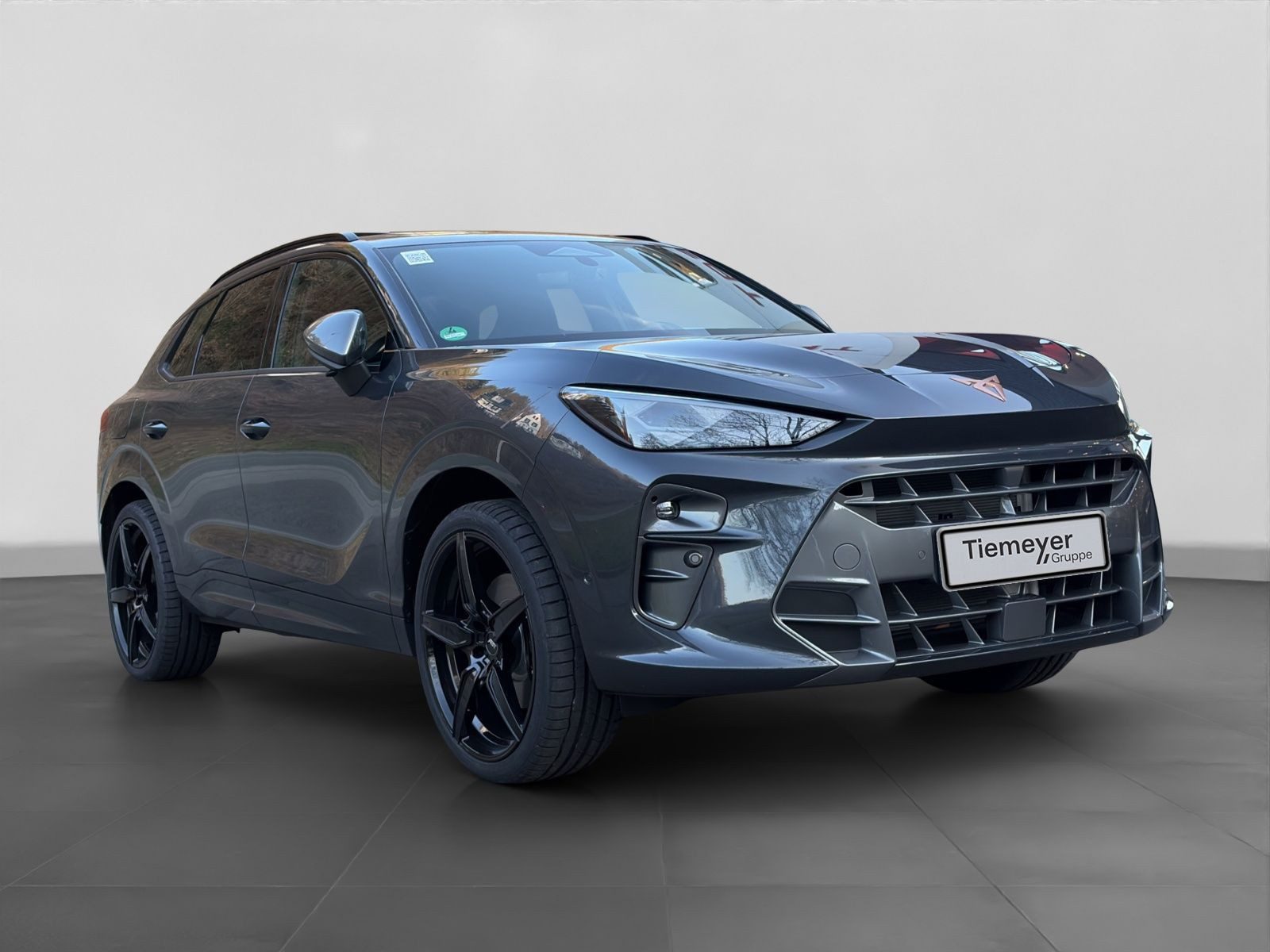 Cupra Terramar – Bild 19