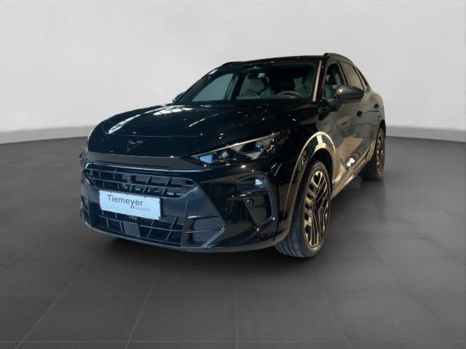 Cupra Terramar – Foto 2