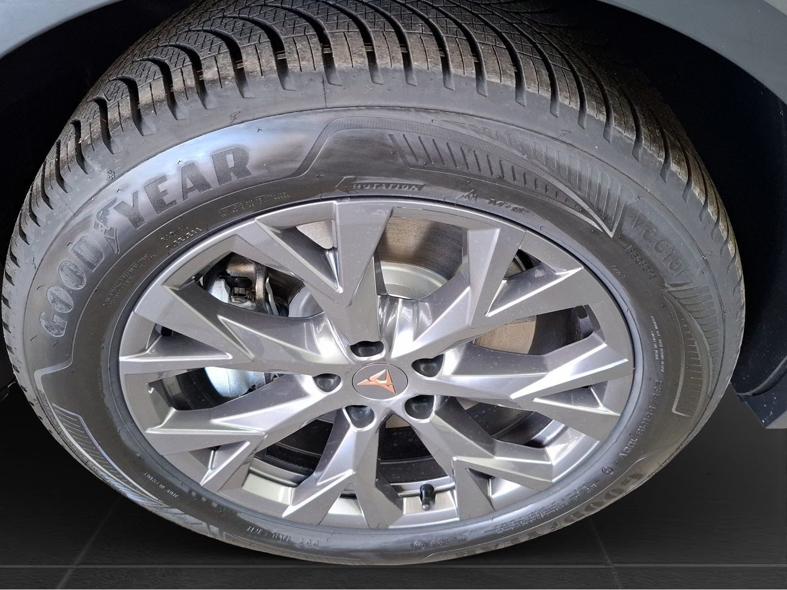 Cupra Terramar – Foto 8