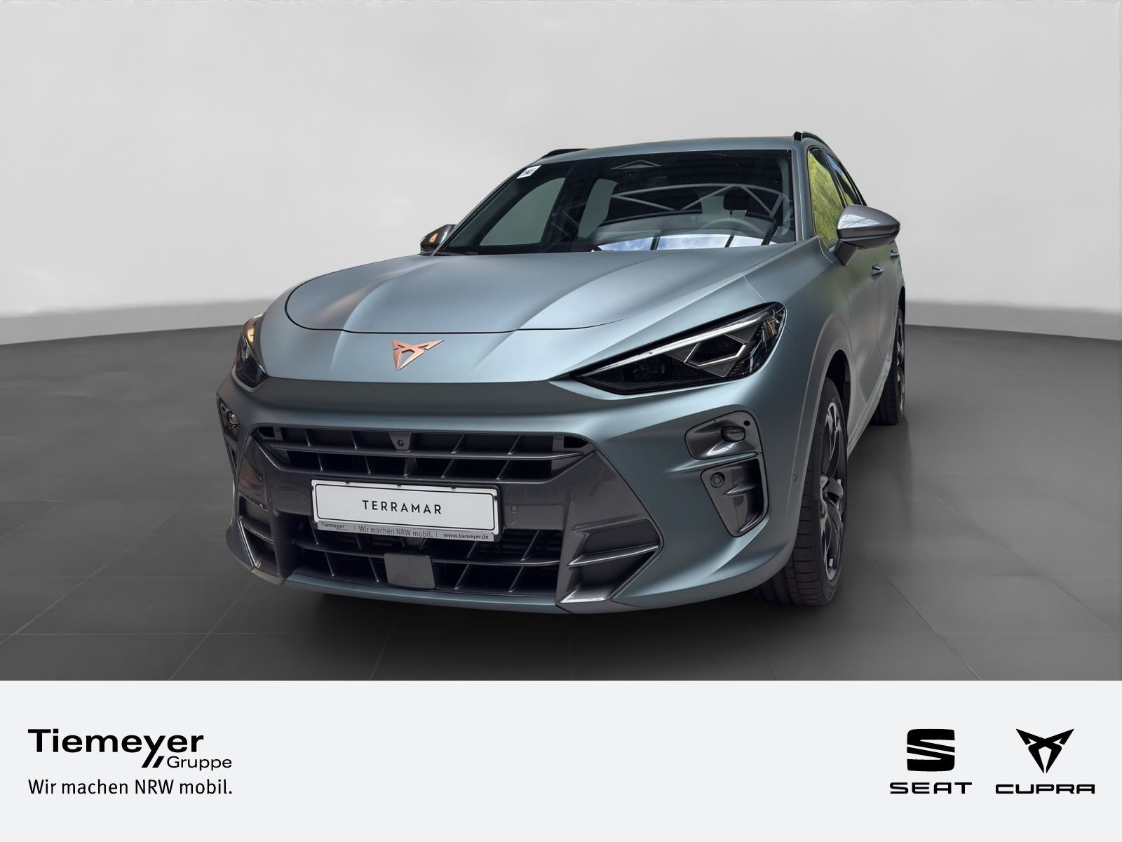 Cupra Terramar – Bild 1