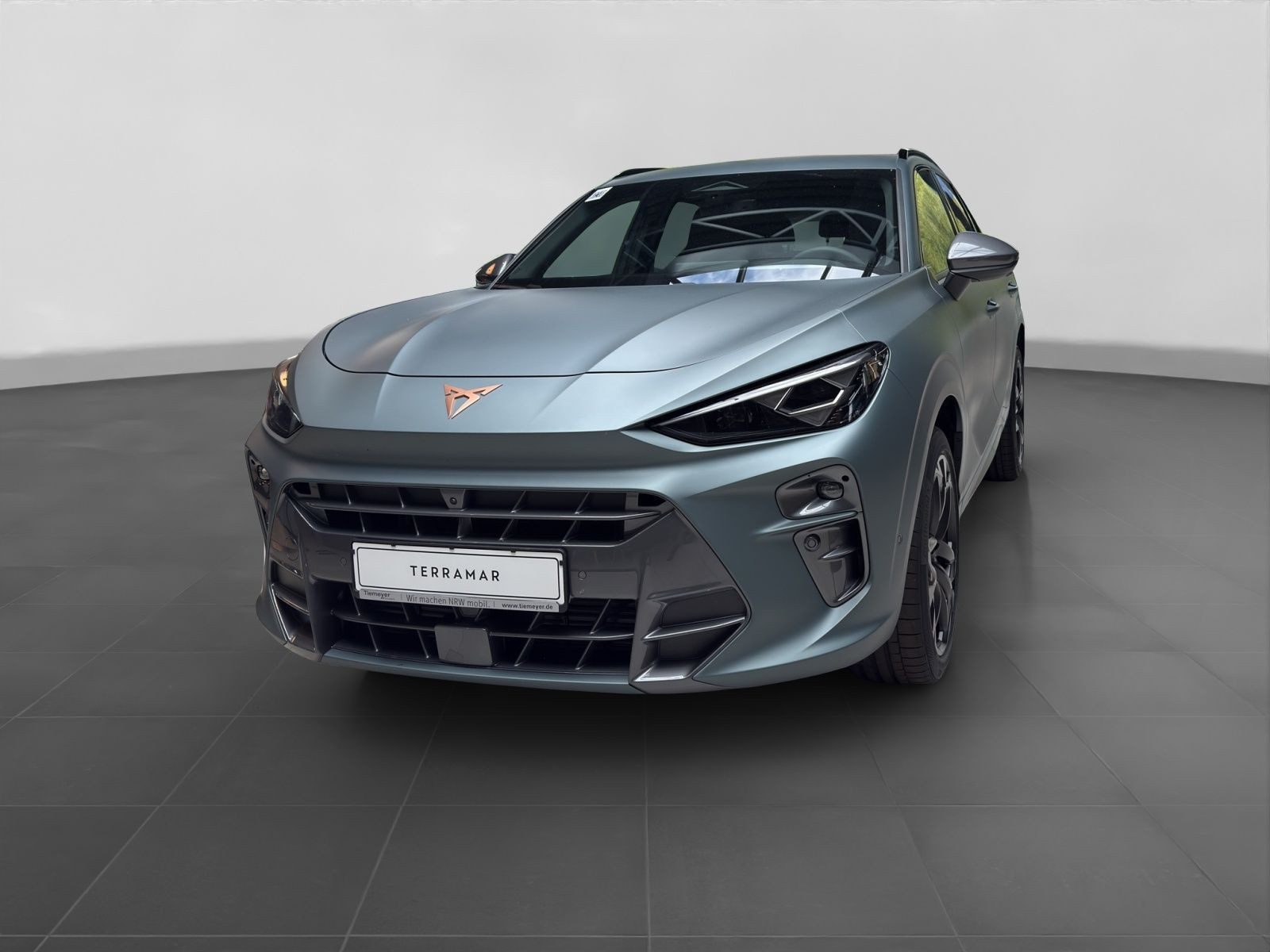 Cupra Terramar – Bild 2