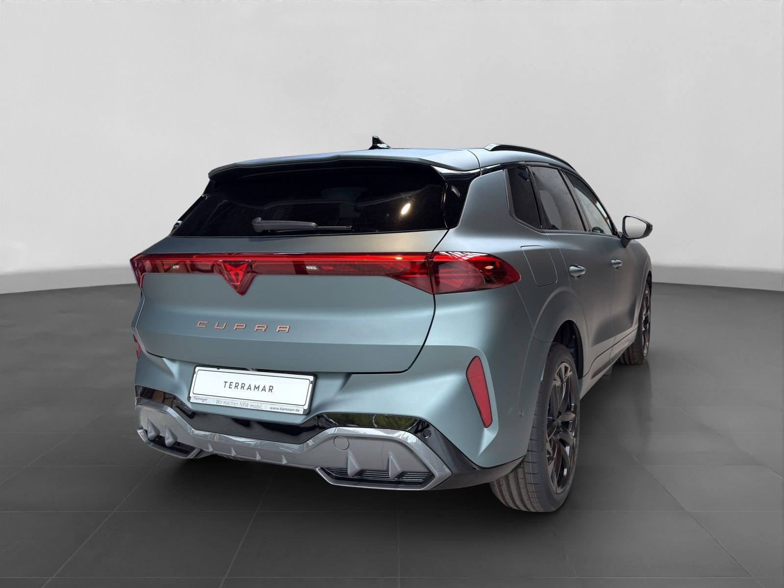 Cupra Terramar – Bild 3