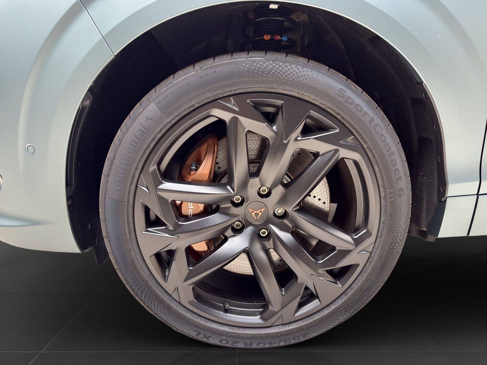 Cupra Terramar – Bild 7