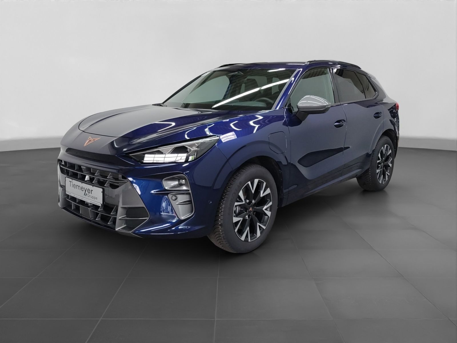 Cupra Terramar – Foto 2