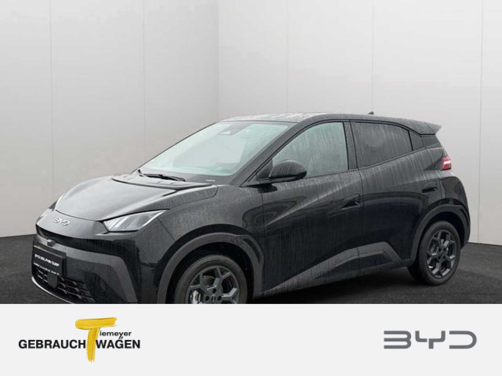 BYD DOLPHIN SURF – Bild 1