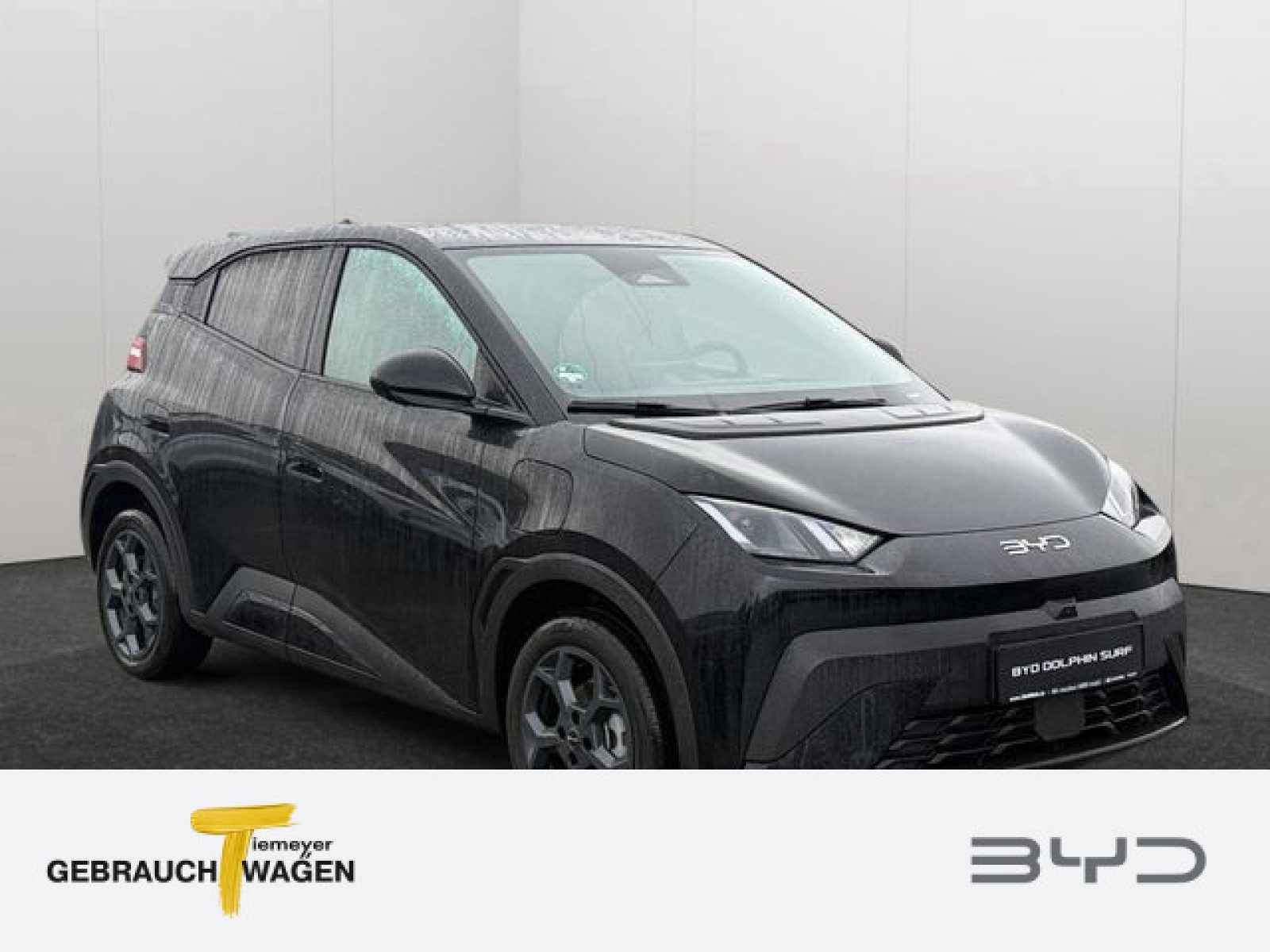 BYD DOLPHIN SURF – Bild 2