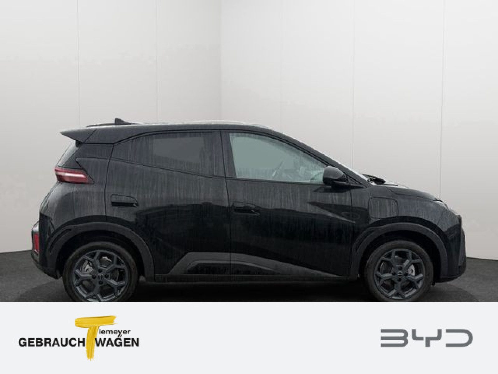 BYD DOLPHIN SURF – Bild 3