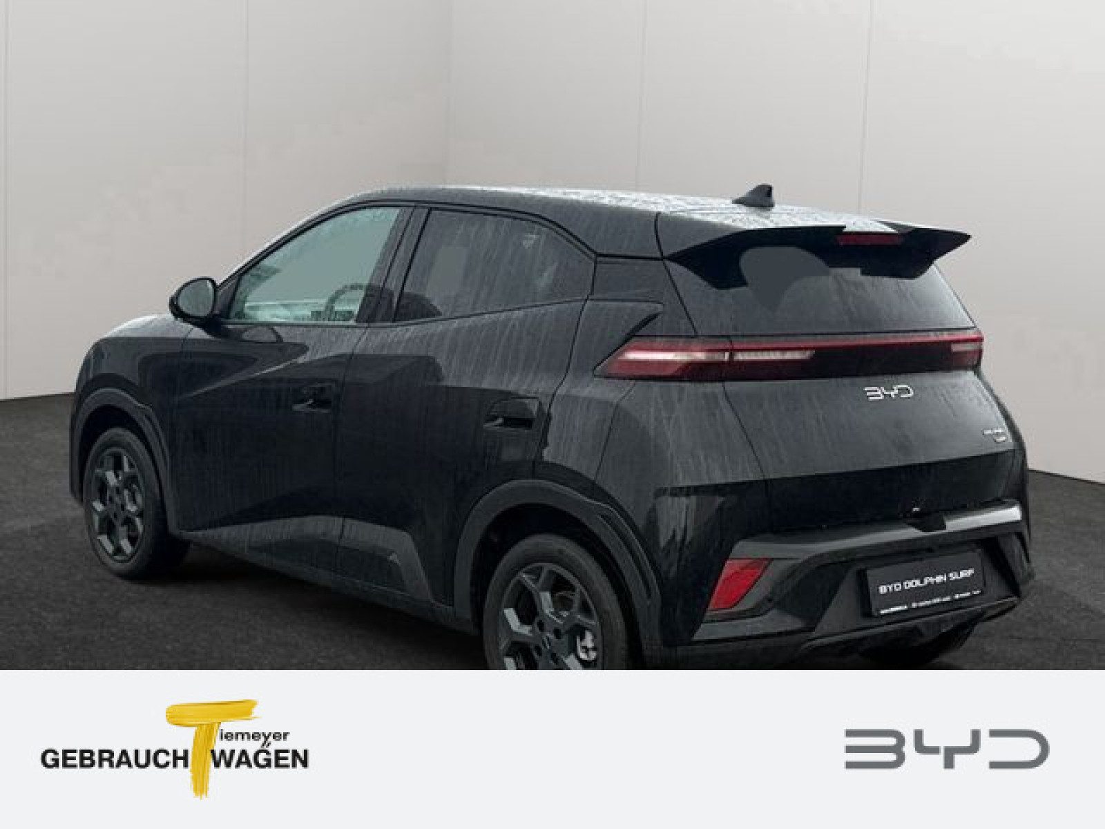 BYD DOLPHIN SURF – Bild 6