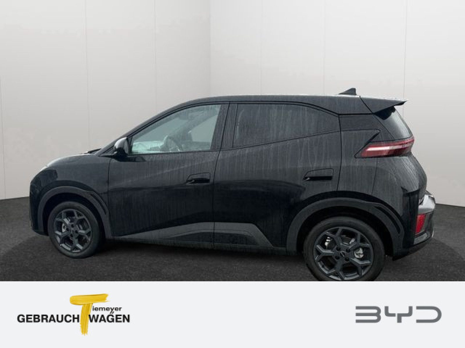 BYD DOLPHIN SURF – Bild 7
