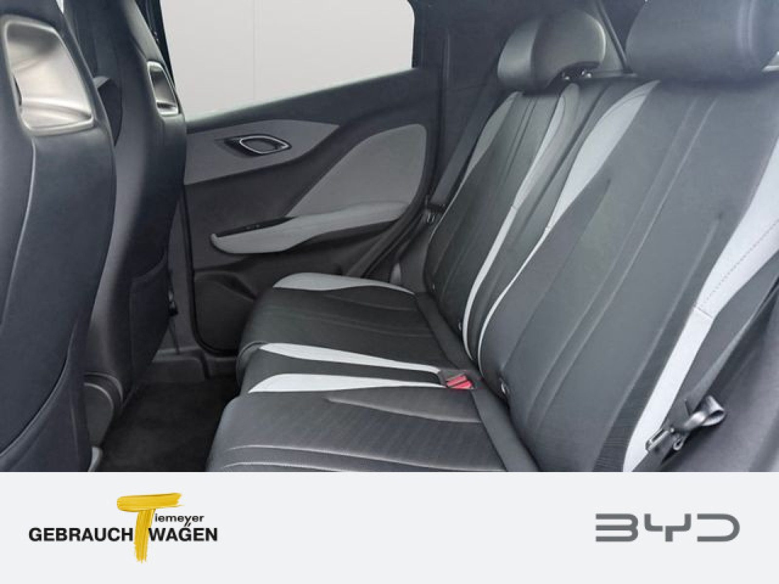 BYD DOLPHIN SURF – Bild 10