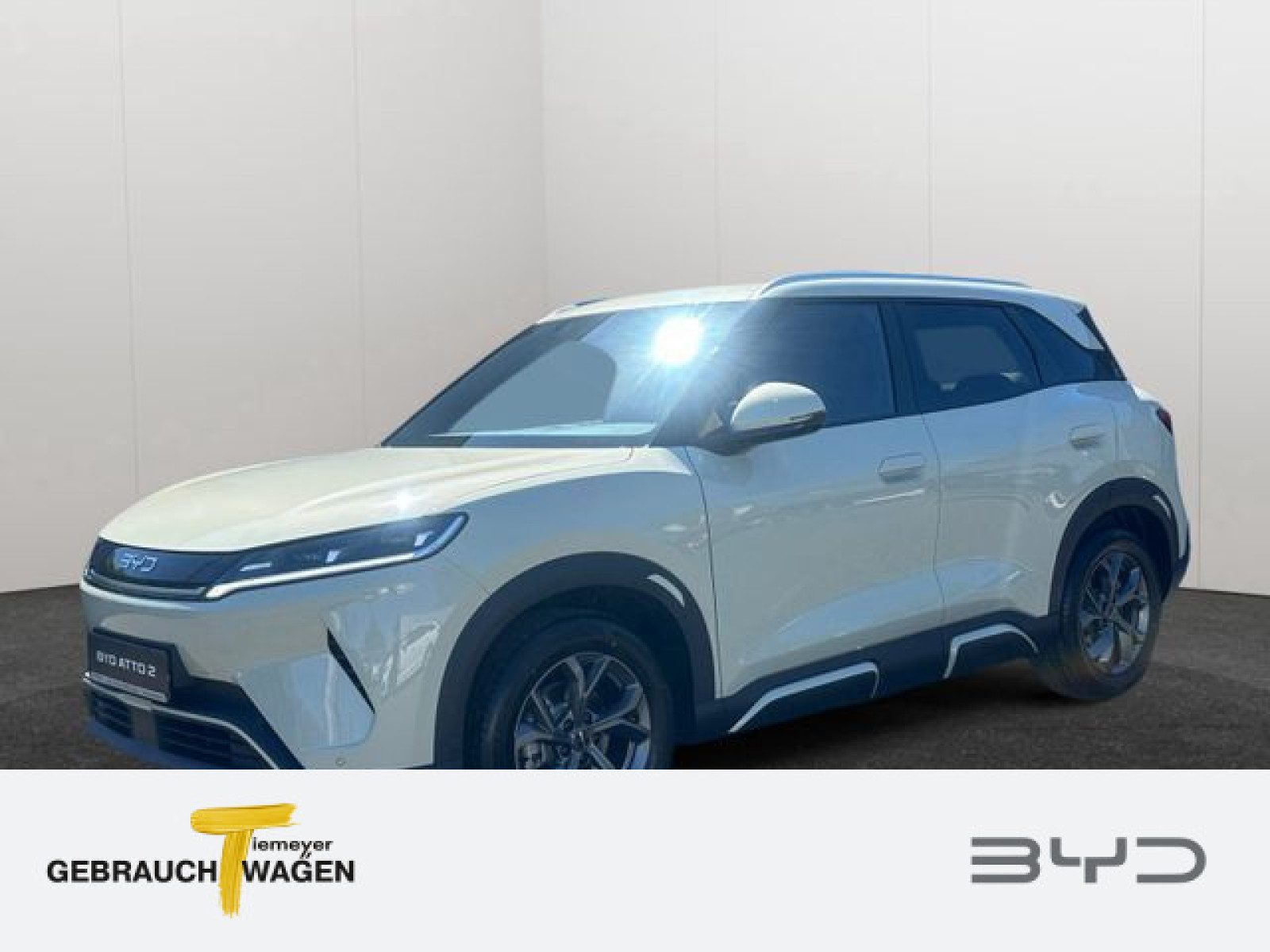 BYD ATTO 2 – Bild 1
