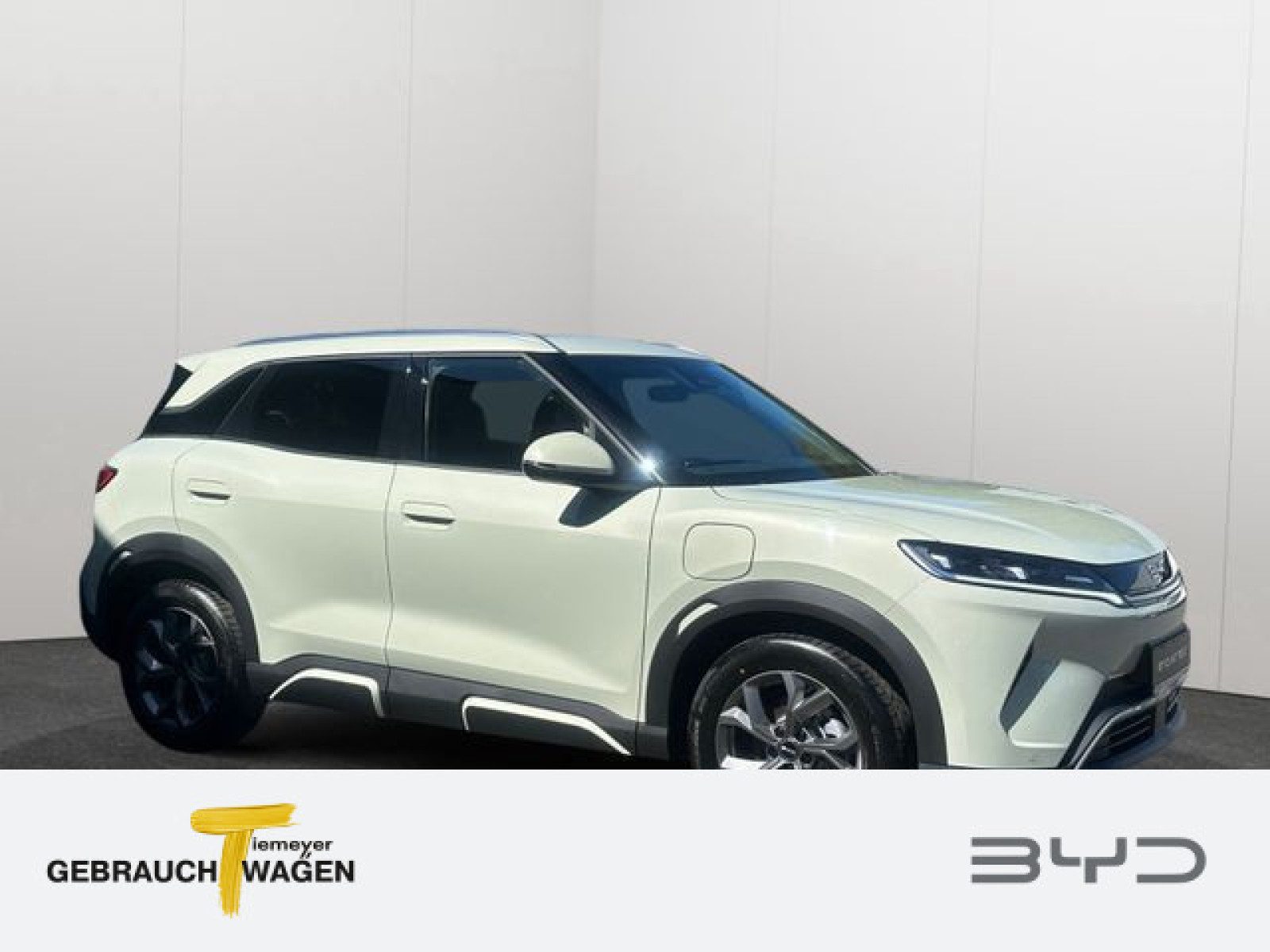 BYD ATTO 2 – Bild 2