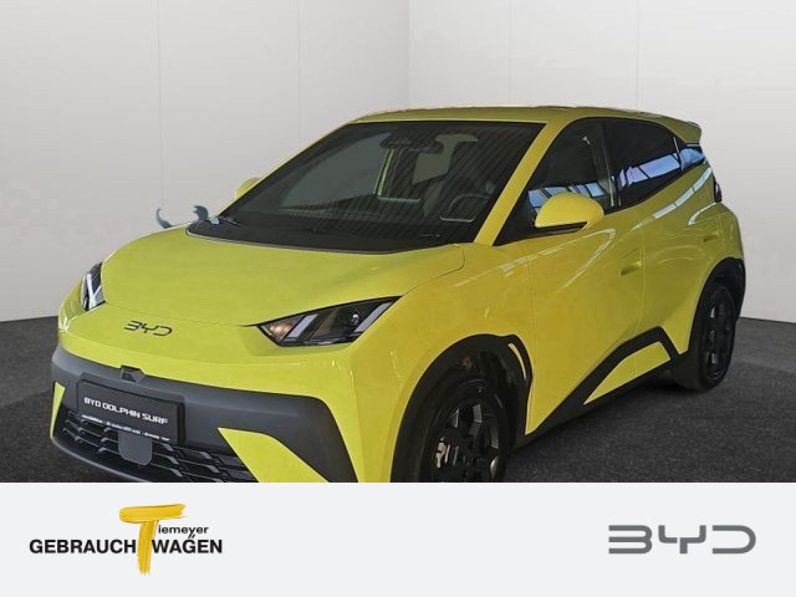 BYD DOLPHIN SURF – Bild 1