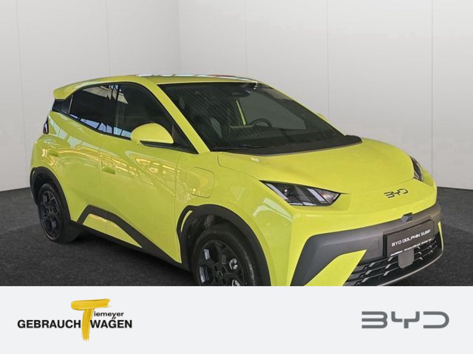 BYD DOLPHIN SURF – Bild 2