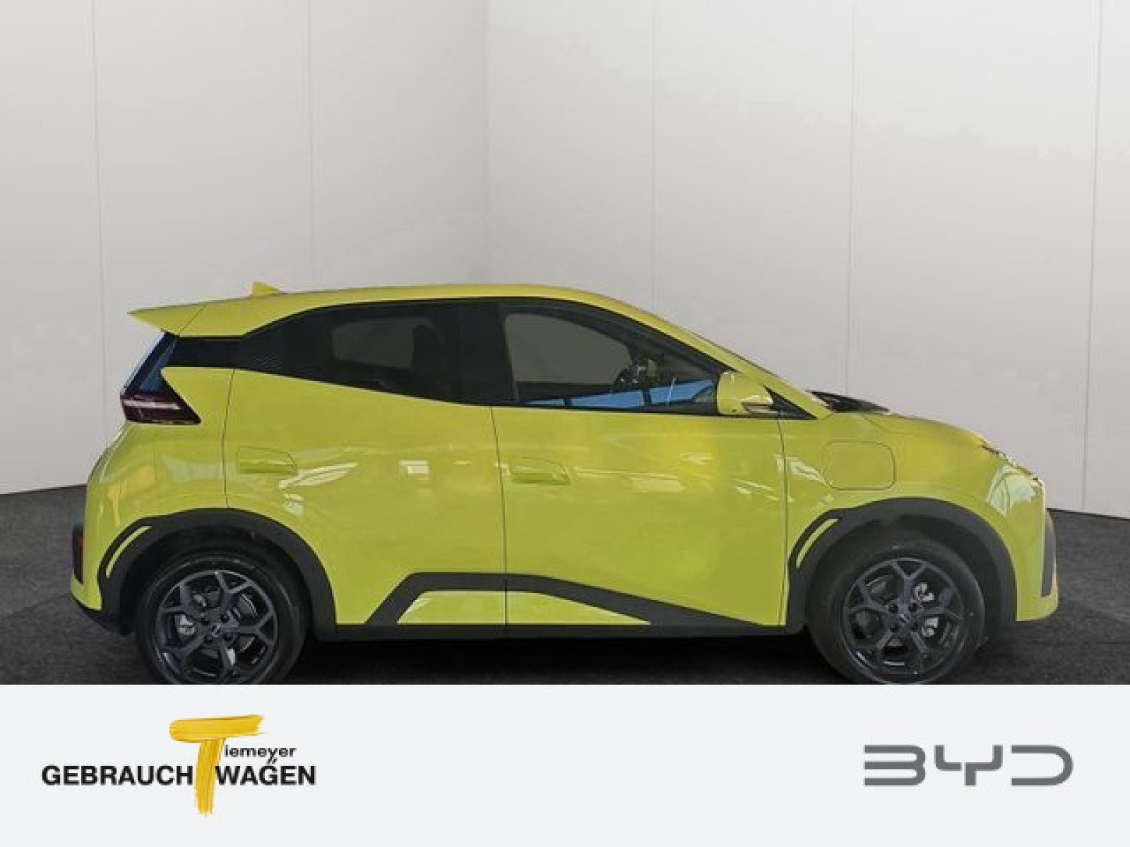 BYD DOLPHIN SURF – Bild 3