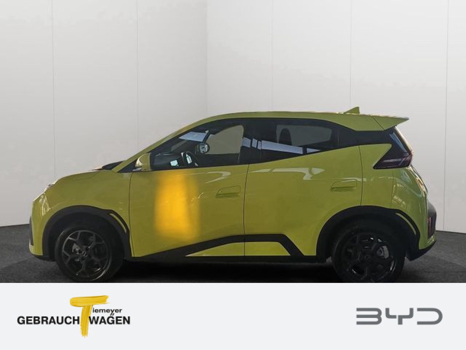 BYD DOLPHIN SURF – Bild 7