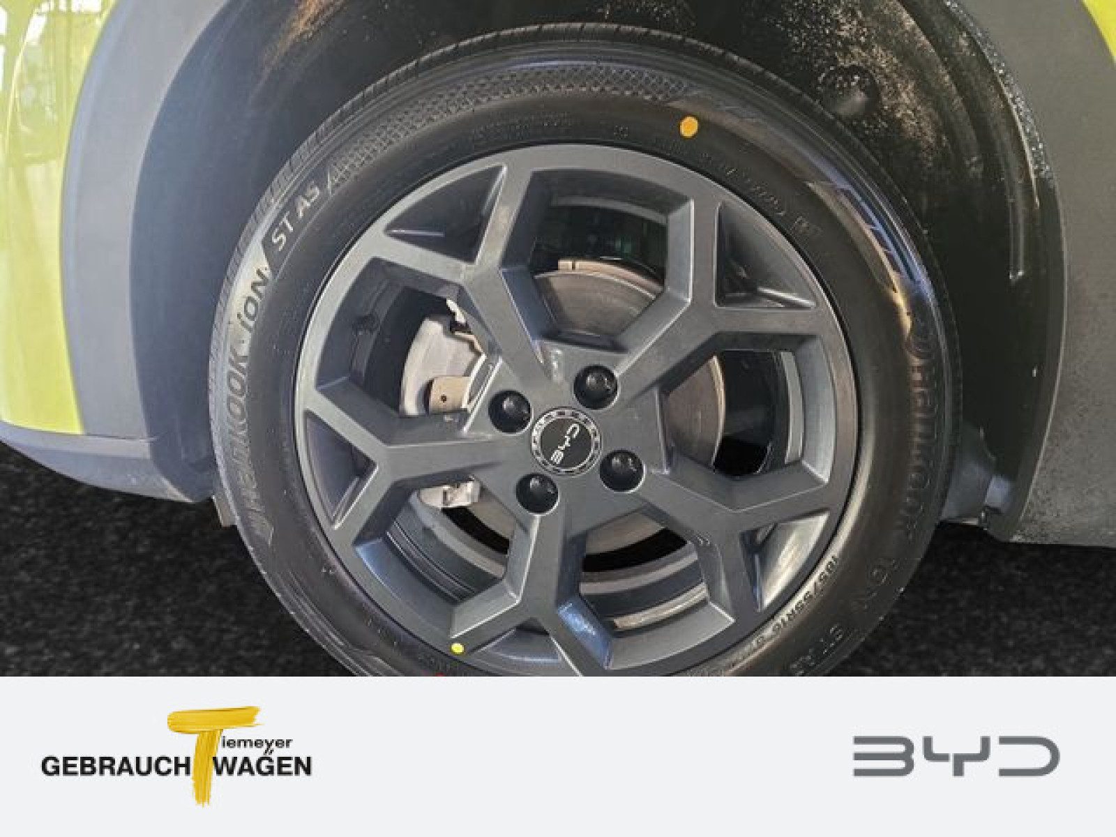 BYD DOLPHIN SURF – Bild 8