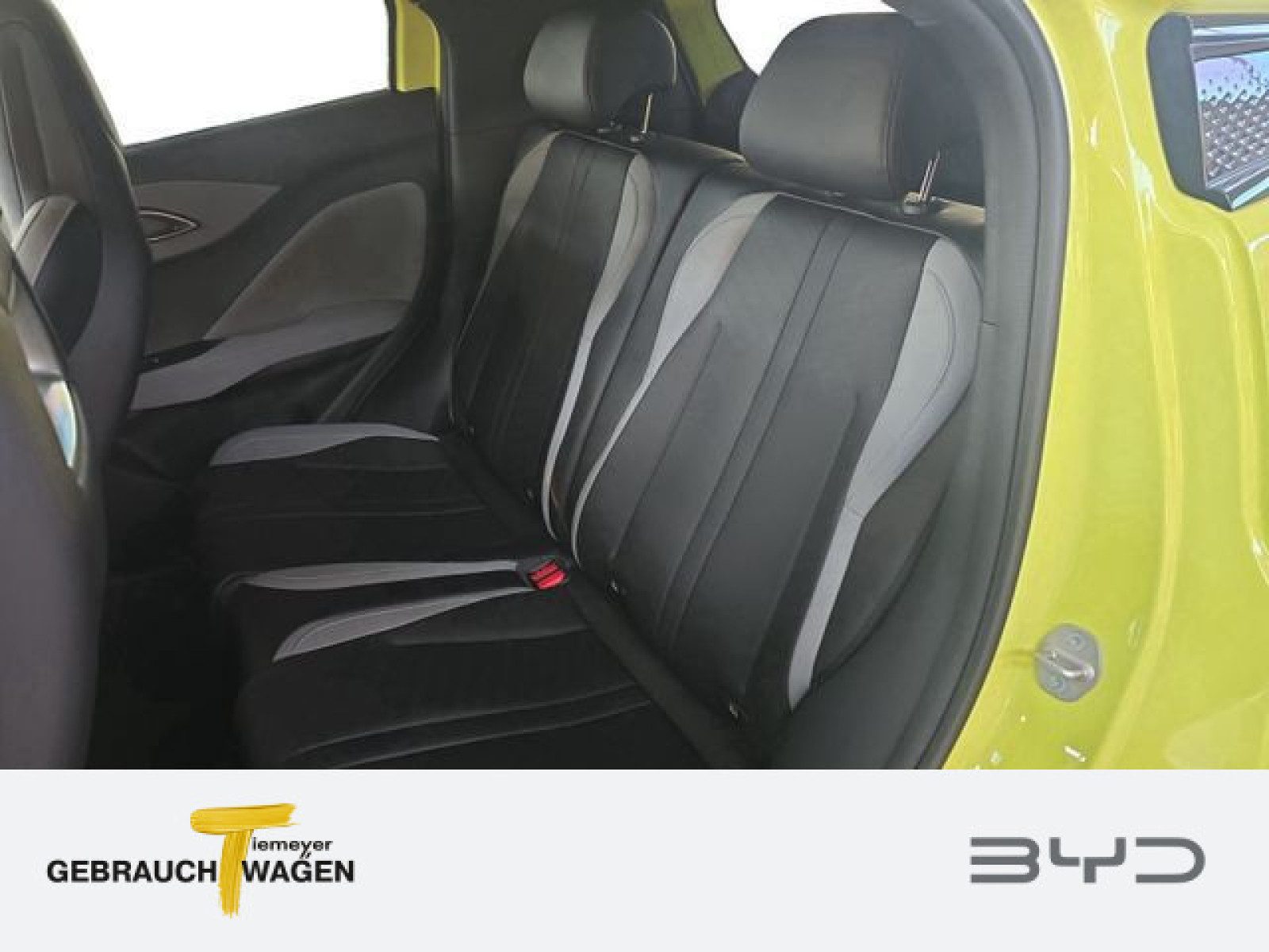 BYD DOLPHIN SURF – Bild 10