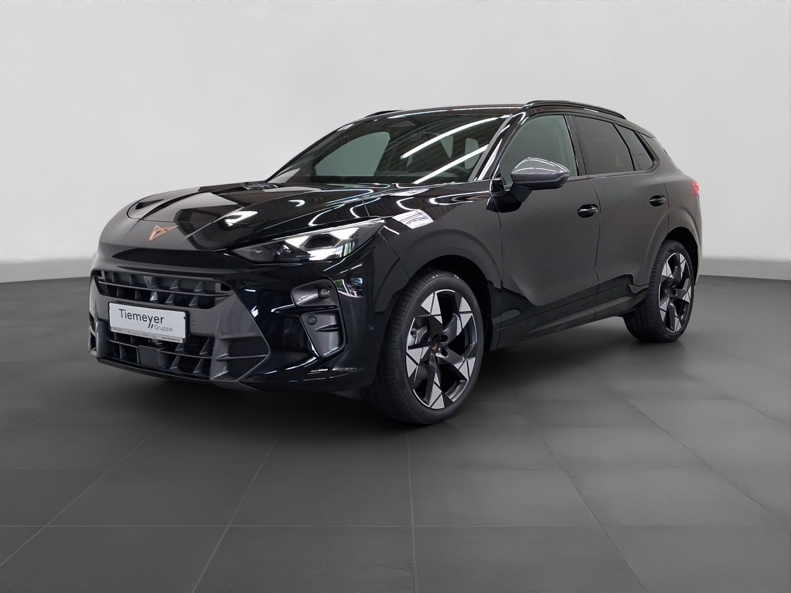 Cupra Terramar – Bild 2