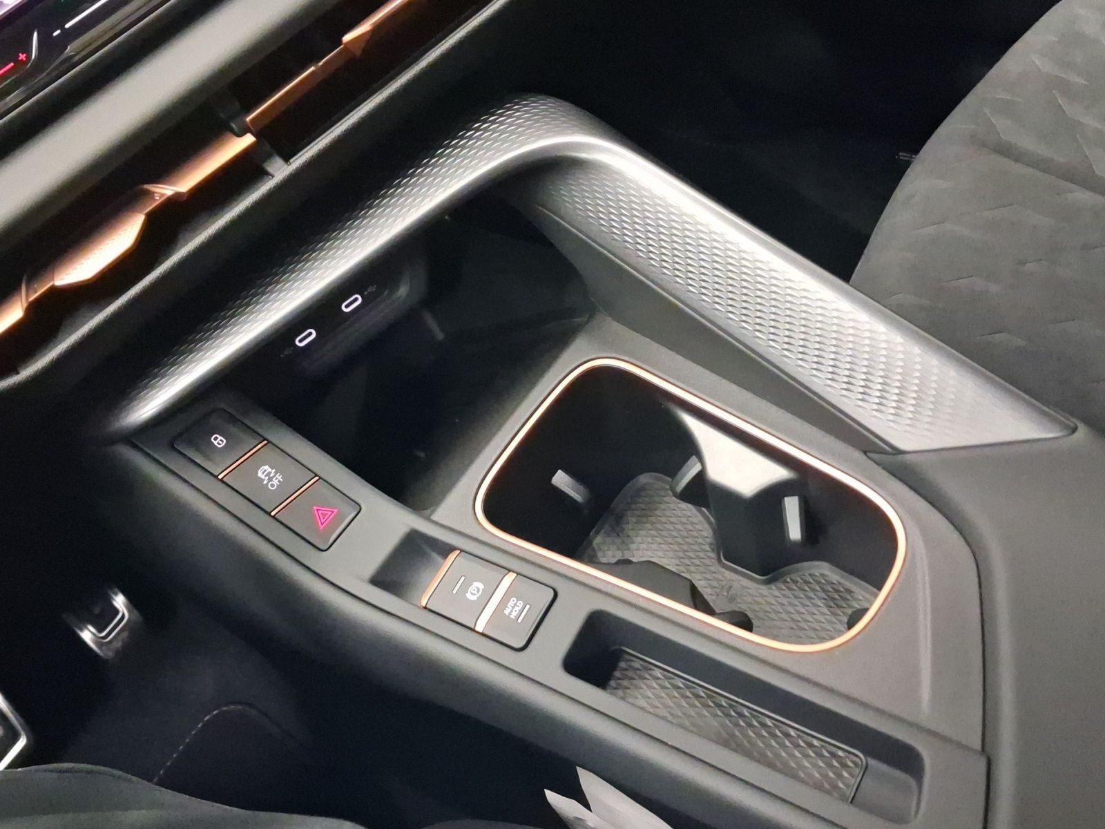 Cupra Terramar – Bild 11