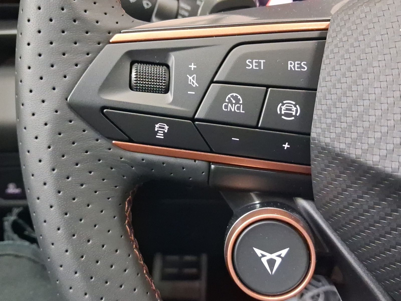 Cupra Terramar – Bild 18