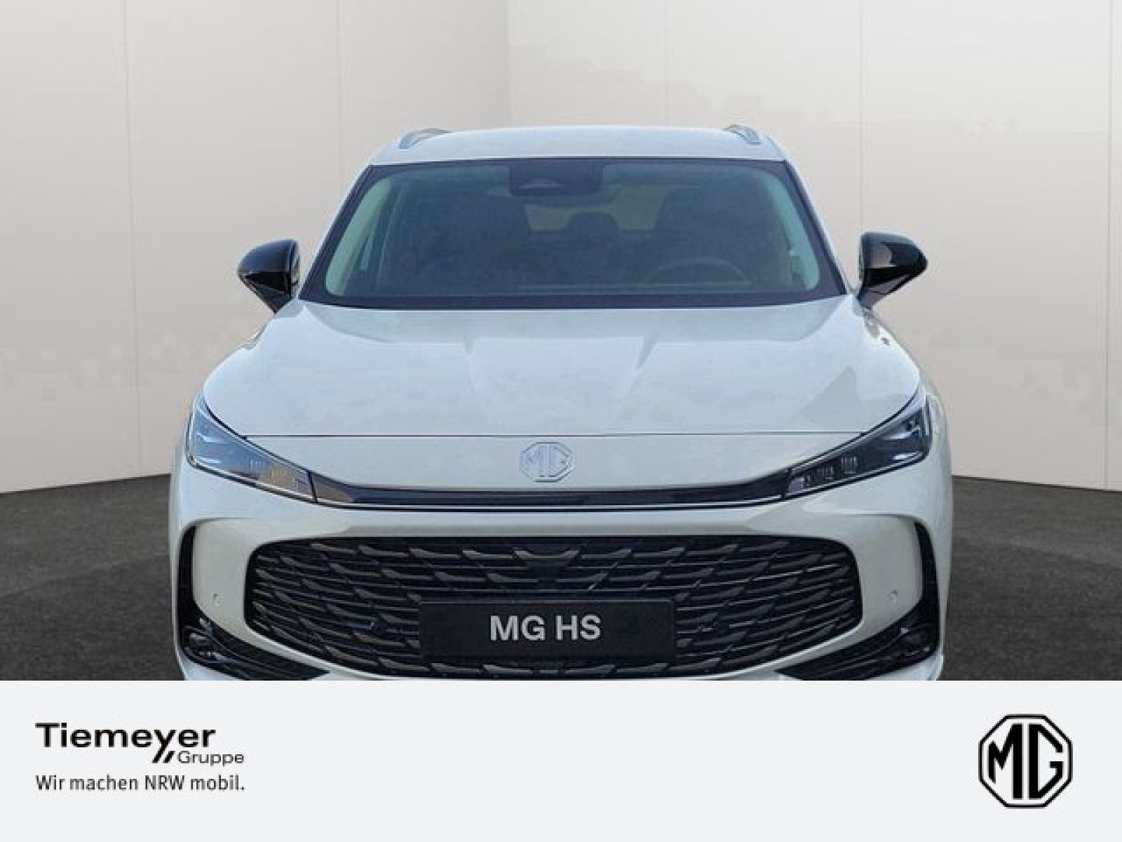 MG HS – Bild 2