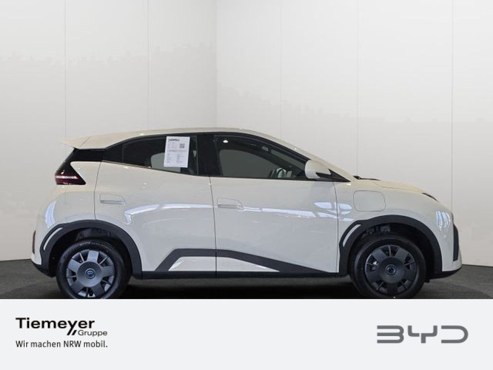 BYD DOLPHIN SURF – Bild 3